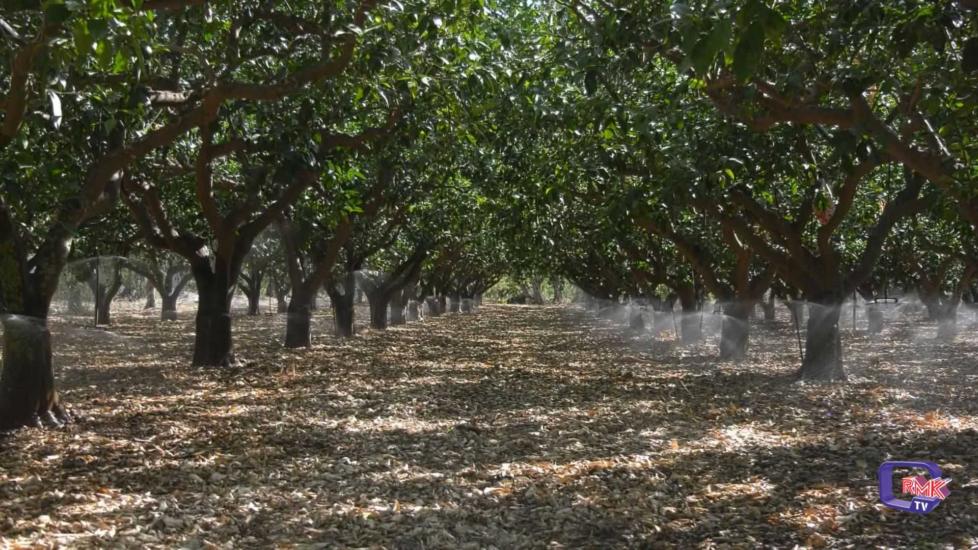 Ribera, confronto tra agricoltori e istituzioni. Si punta alla riqualificazione dell'adduttore 